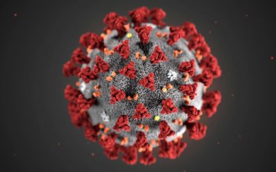 Coronavirus, notions actuelles