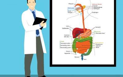 Les cancers du pancréas en 12 points clés