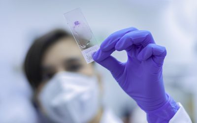 La plateforme Single cell / Génomique. Cécile VERCHERAT