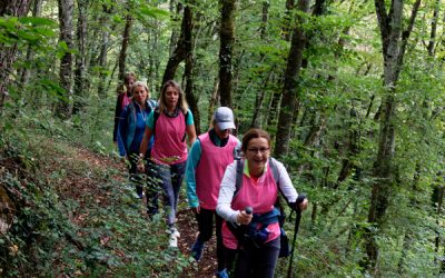 Confort : Succès de la marche contre le cancer du sein