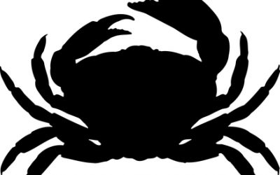 Cancer : Tous concernés…..