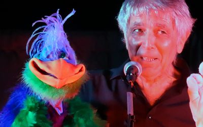 Un drôle d’oiseau s’est posé à Meximieux ….
