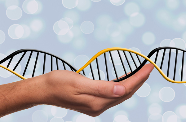 Un futur sans cancers grâce à l’ARN Médicaments ?