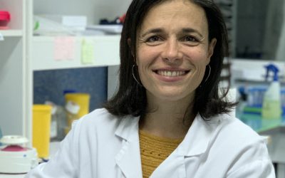 Ciblage thérapeutique des caractéristiques oncogéniques acquises par détournement des programmes régulant le développement des cellules de la crête neurale dans les rhabdomyosarcomes : RHABDOrigin