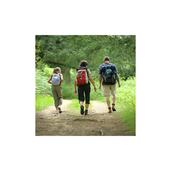 La Marche Rose des Bords de Veyle