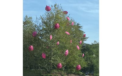 Octobre Rose à Valserhône