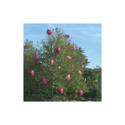 Octobre Rose à Valserhône