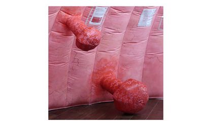 Le Colon-Tour ® dans le Pays de Gex