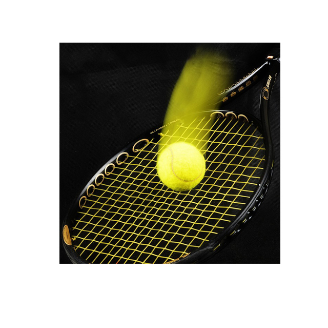 Don du Comité de Tennis de l&rsquo;Ain à la Ligue contre le cancer