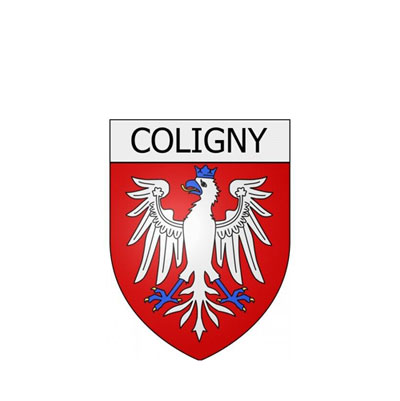 Le Club de l&rsquo;Âge d&rsquo;Or de Coligny aide la Ligue