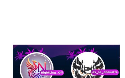 Streaming pour la Ligue