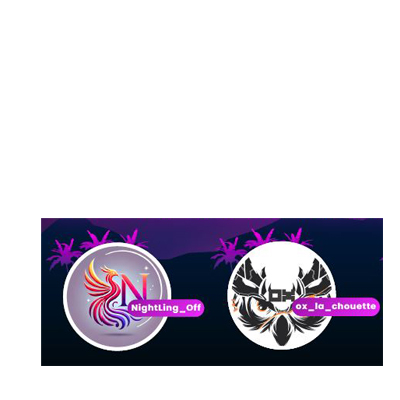 Streaming pour la Ligue