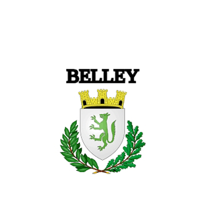 Le centre social de Belley a remis 2 chèques pour la recherche médicale.