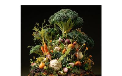 Les légumes crucifères, alliés indispensables de l’immunothérapie