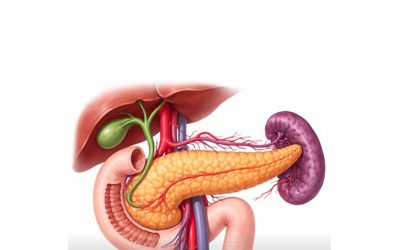 Cancer du pancréas : Les Tumor Treating Fields ont un intérêt vis-à-vis de la douleur et la qualité de vie