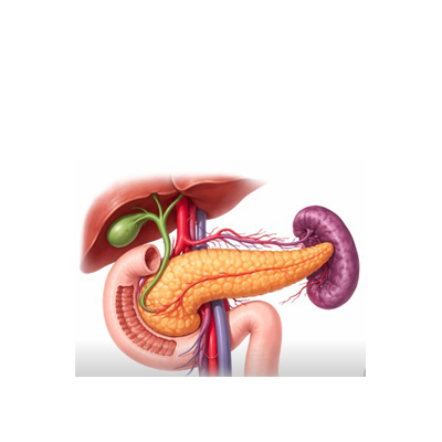 Cancer du pancréas : Les tumor treating fields ont un intérêt vis-à-vis de la douleur et la qualité de vie