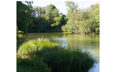 Pêcheurs au grand coeur à Viriat