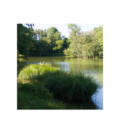 Pêcheurs au grand coeur à Viriat