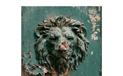 Destination des “Tulipes contre le cancer”  du Lion’s Club